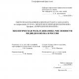 Экологическая роль и динамика численности медведя и волка в России