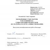 Молодёжные субкультуры и их влияние на социализацию подростков (на материалах курса обществознания)