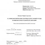 Условия формирования здоровьесберегающей среды в общеобразовательной организации
