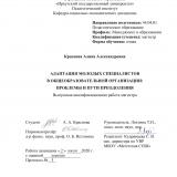 Адаптация молодых специалистов в общеобразовательной организации: проблемы и пути преодоления