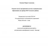 Развитие малого предпринимательства в муниципальных образованиях (на примере МО Усольского района)