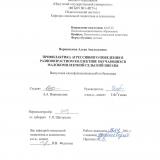Профилактика агрессивного поведения  в разновозрастном коллективе обучающихся малокомплектной сельской школы