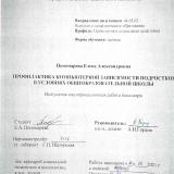 Профилактика компьютерной зависимости подростков в условиях общеобразовательной школы