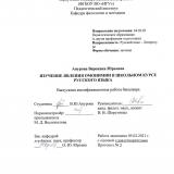 Изучение явления омонимии в школьном курсе русского языка