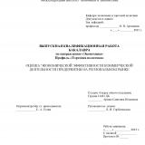 Оценка экономической эффективности коммерческой деятельности предприятия на региональном рынке