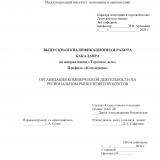 Организация коммерческой деятельности на региональном рынке нефтепродуктов