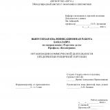 Организация коммерческой деятельности предприятия розничной торговли