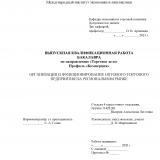 Организация и функционирование оптового торгового предприятия на региональном рынке