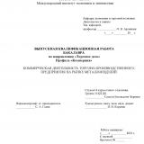 Коммерческая деятельность торгово-производственного предприятия на рынке металлоизделий