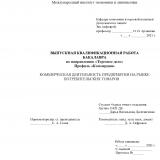 Коммерческая деятельность предприятия на рынке потребительских товаров