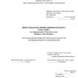 Организация коммерческой деятельности промышленного предприятия