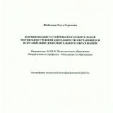 Формирование устойчивой положительной мотивации учебной деятельности обучающихся в организации дополнительного образования