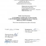 "Случайное семейство" в онтологии Л. Петрушевской (учебный ресурс к урокам внеклассного чтения)