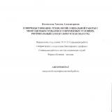 Совершенствование технологий социальной работы с многодетными семьями в современных условиях: региональный аспект (Иркутская область)
