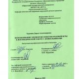 Использование элементов сюжетно-ролевой игры в логопедической работе с дошкольниками