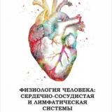 Физиология человека: сердечно-сосудистая и лимфатическая системы
