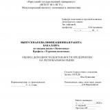 Оценка доходности деятельности предприятия на региональном рынке