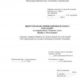 Оценка эффективности деятельности торговой организации на рынке компьютерной техники