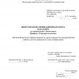 Экономическая эффективность деятельности предприятия сферы автосервисного обслуживания