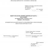 Коммерческая деятельность предприятия в обеспечении авиатранспортных услуг