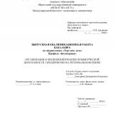 Организация и функционирование коммерческой деятельности предприятия на региональном рынке