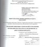 Внедрение цифровых технологий в управление мотивации персоналом на предприятии АО "Иркутскнефтепродукт"