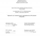 Правовой статус индивидуального предпринимателя в Российской Федерации