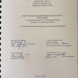 Уголовно-правовая характеристика массовых беспорядков