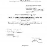 Специфика интерактивного взаимодействия на телевидении