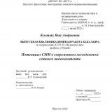 Потенциал СМИ в современном молодежном сетевом видеоконтенте