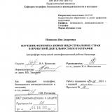 Изучение феномена новых индустриальных стран в проектной деятельности по географии