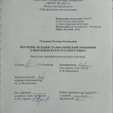 Изучение явления грамматической омонимии в школьном курсе русского языка