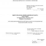 Организация коммерческой деятельности предприятия транспортной отрасли
