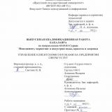 Управление клиентскими потоками на предприятии сферы услуг