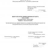 Экономическая эффективность коммерческой деятельности предприятия на потребительском рынке