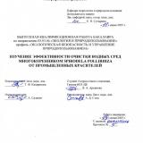 Изучение эффективности очистки водных сред многокоренником Spirodela pollirhiza от промышленных красителей