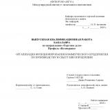 Организация функционирования коммерческого предприятия по производству и сбыту мясопродукции