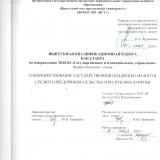 Совершенствование государственной поддержки малого и среднего предпринимательства в Республике Бурятия