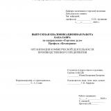 Организация коммерческой деятельности производственного предприятия