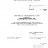 Организация коммерческой деятельности предприятия оптово-розничной торговли на рынке горюче-смазочных материалов