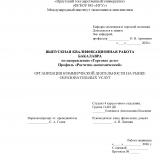 Организация коммерческой деятельности на рынке образовательных услуг