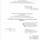 Разработка и обоснование стартап проекта "Дроп-шипинг"