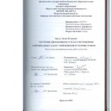 Обучение школьников 5-9 классов решению олимпиадных задач с применением теории графов