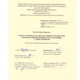 Работа логопеда над преодолением трудностей  вербализации временных представлений у дошкольников