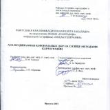 Анализ динамики корональных дыр на Солнце методами картографии