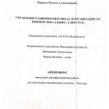 Управление развитием персонала в организации (на примере ООО "Альянс" г. Иркутск)