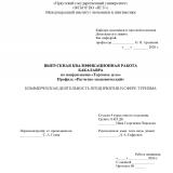 Коммерческая деятельность предприятия в сфере туризма