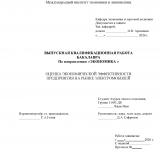 Оценка экономической эффективности предприятия на рынке электромобилей