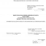 Коммерческая деятельность предприятия на розничном рынке 