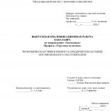 Экономическая эффективность предприятия на рынке автомобильного обслуживания